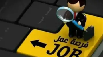 دليل التقديم على وظائف وزارة العمل 2026.. الرابط الرسمي والأوراق المطلوبة للتعيين